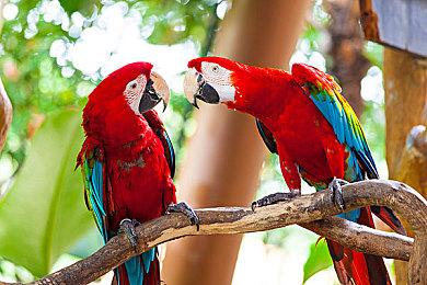 探索型2D和风动作《波与月夜之青莲》亮相高能电玩节 全新中文预告